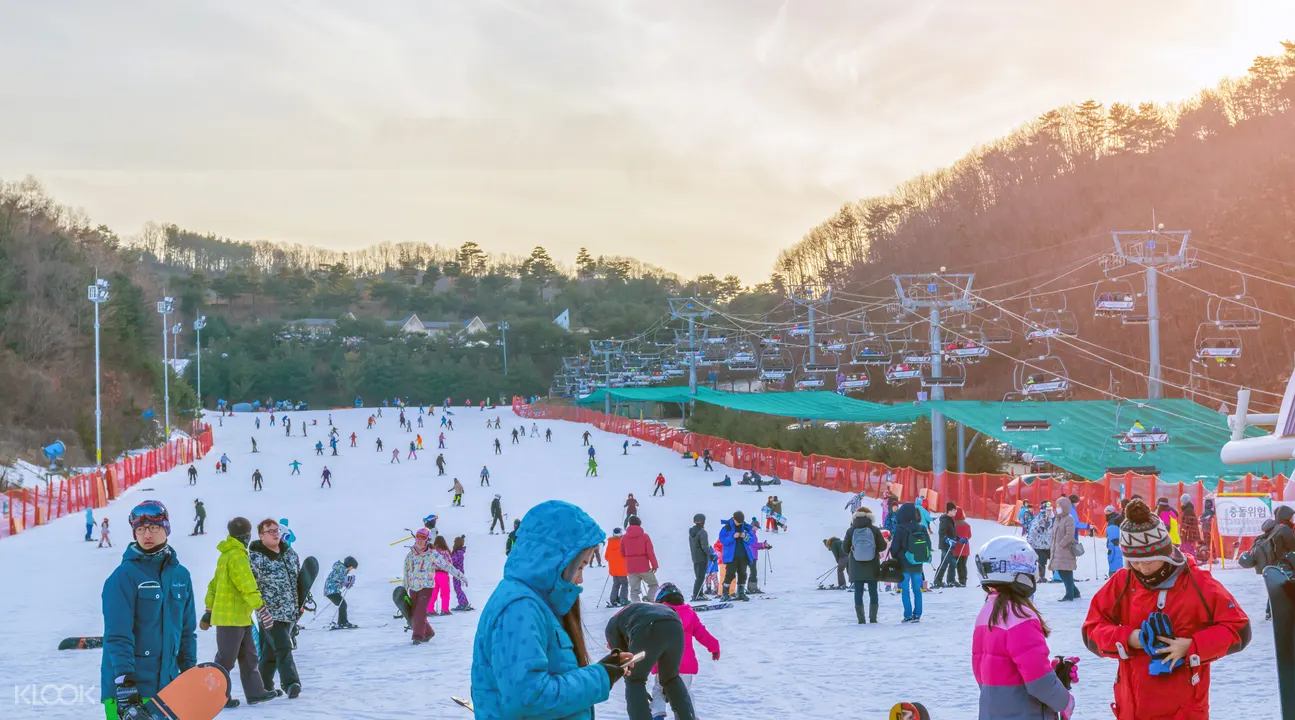 首爾至滑雪場專車接送