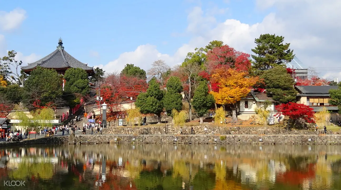 秋季限定 吉野山 奈良神鹿公园 猿泽池 兴福五重塔賞楓一日游 大阪出發 Klook客路中国