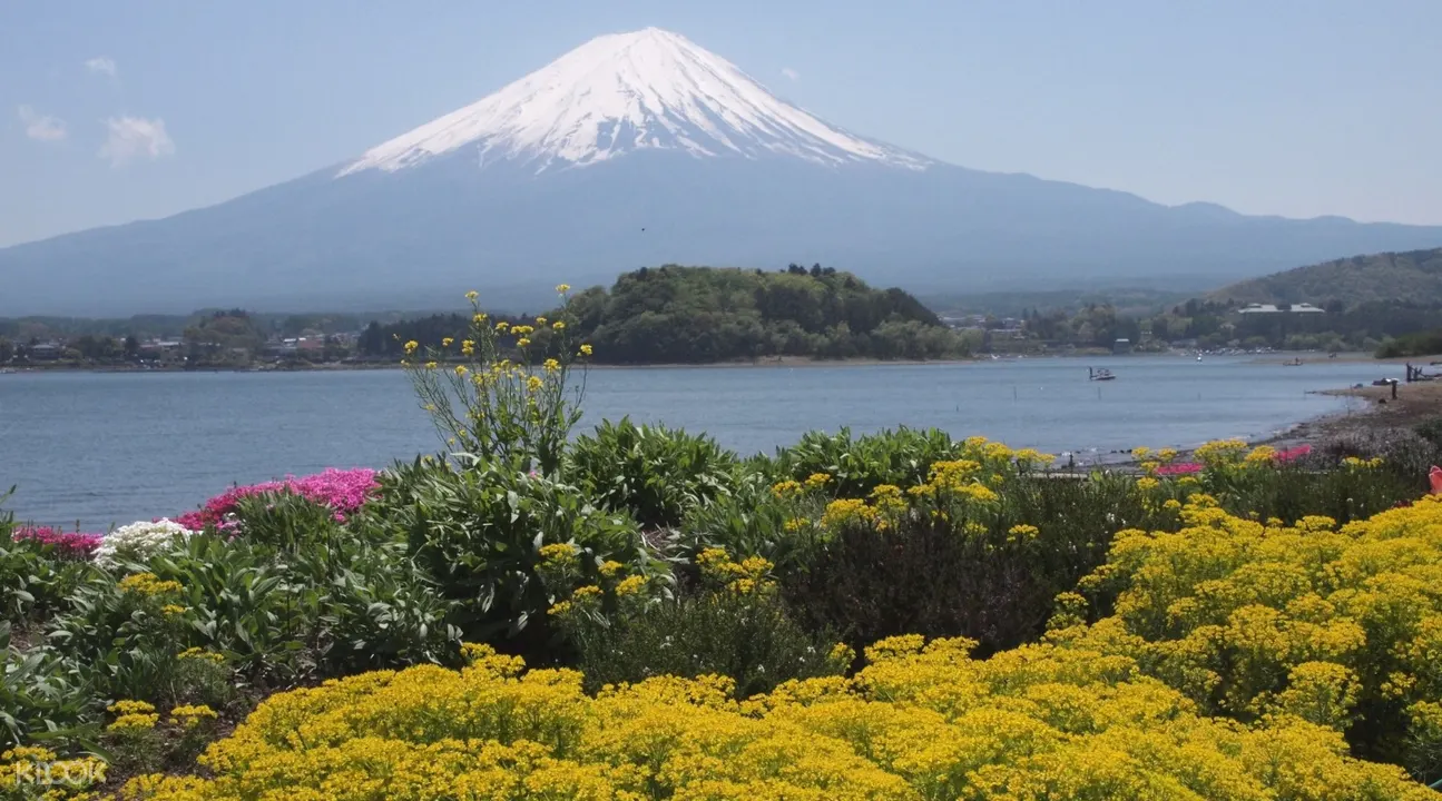 Mt Fuji And Lake Kawaguchi Scenic Spots Day Tour Dari Tokyo