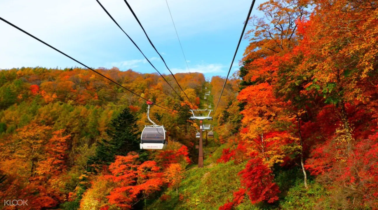 mount jeans nasu autumn leaves sightseeing day trip from tokyo, nasu mountains from tokyo, autumn leaves in nasu, megumi mekke lunch buffet, gensen nasuzan hot springs, cheese garden nasu cheese cakes