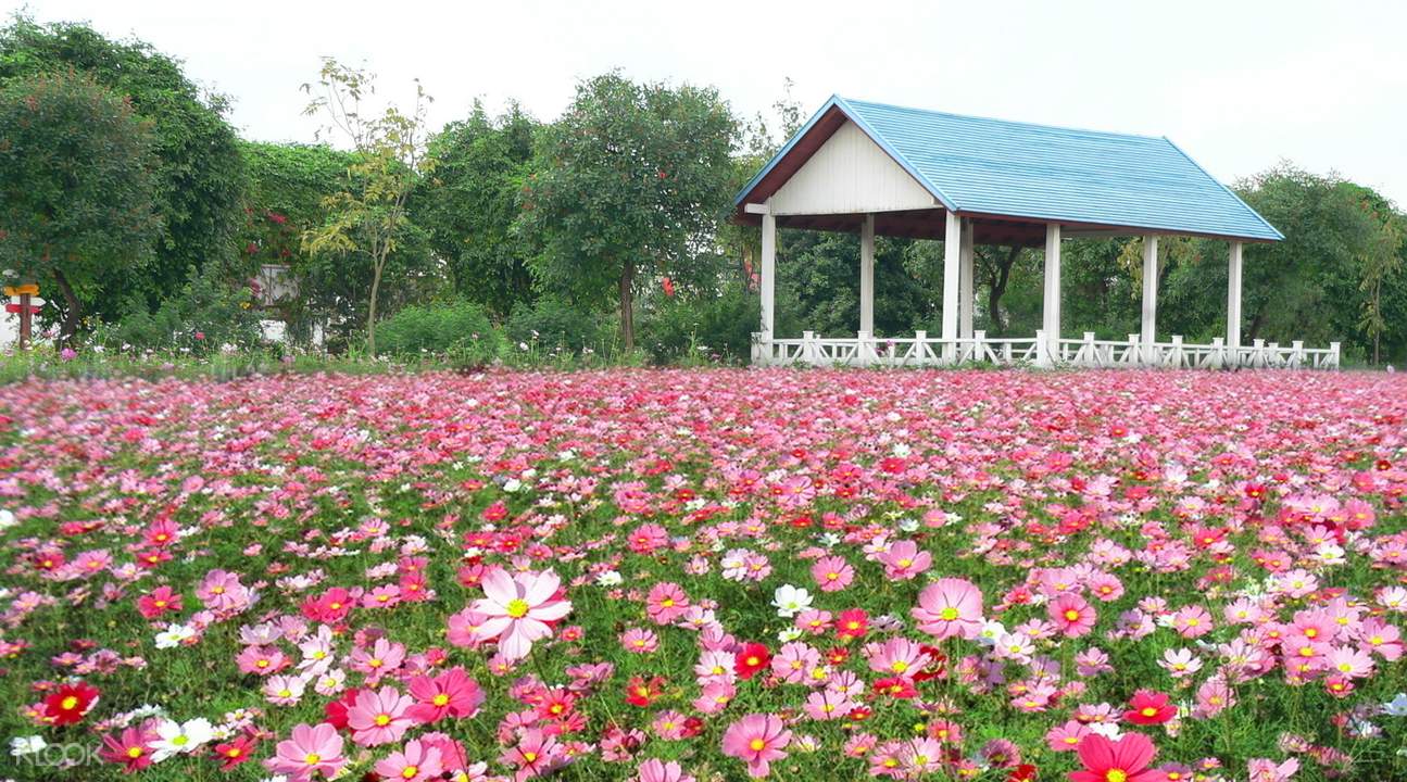 广州花都香草世界门票 游乐币