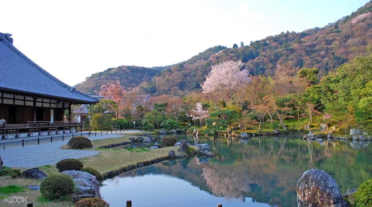 京都仁和寺 天龙寺 岚山 北野天满宫 平野神社 平安神宫赏樱一日游 Klook客路中国 京都仁和寺 天龙寺 岚山 北野天满宫 平野神社 平安神宫赏樱一日游 Klook客路中国