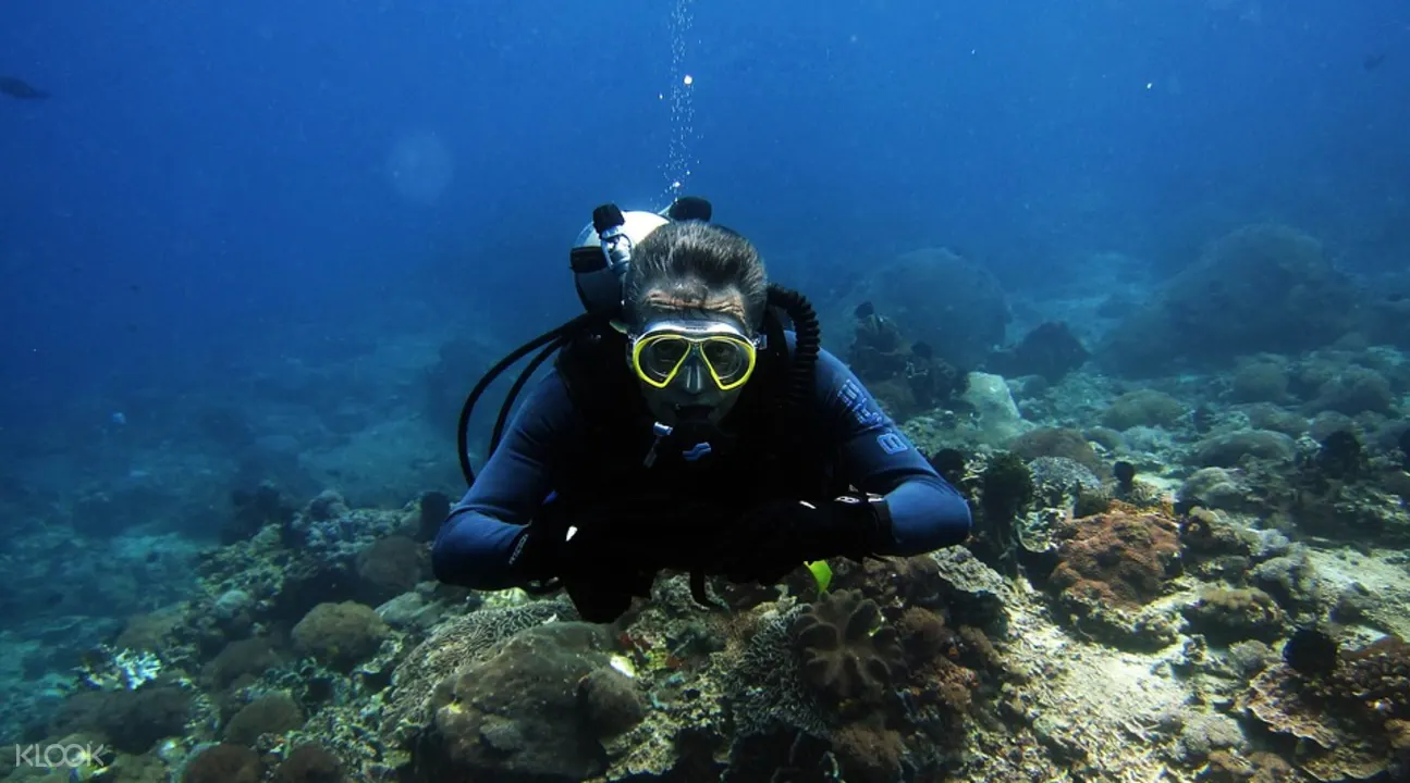 Scuba Diving Adventure Ngapali Myanmar Klook Us
