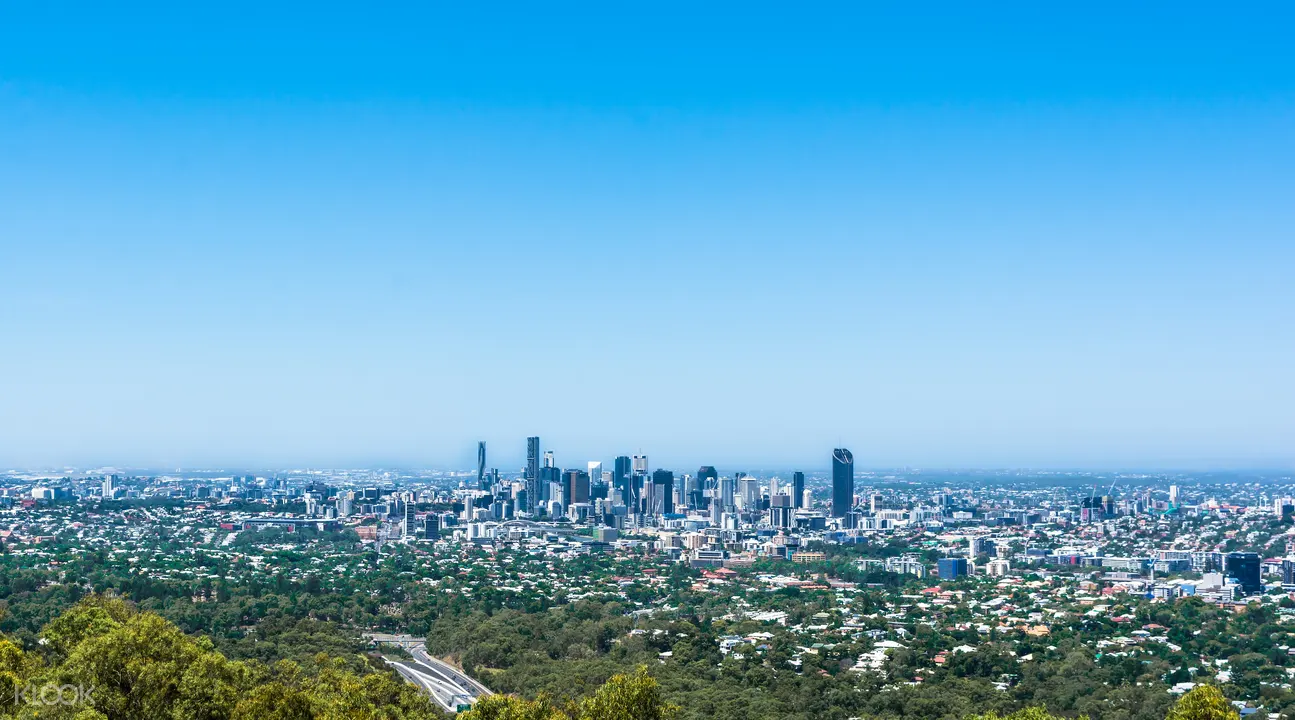 Brisbane City Lone Pine Koala Sanctuary And Mount Coot Tha Tour