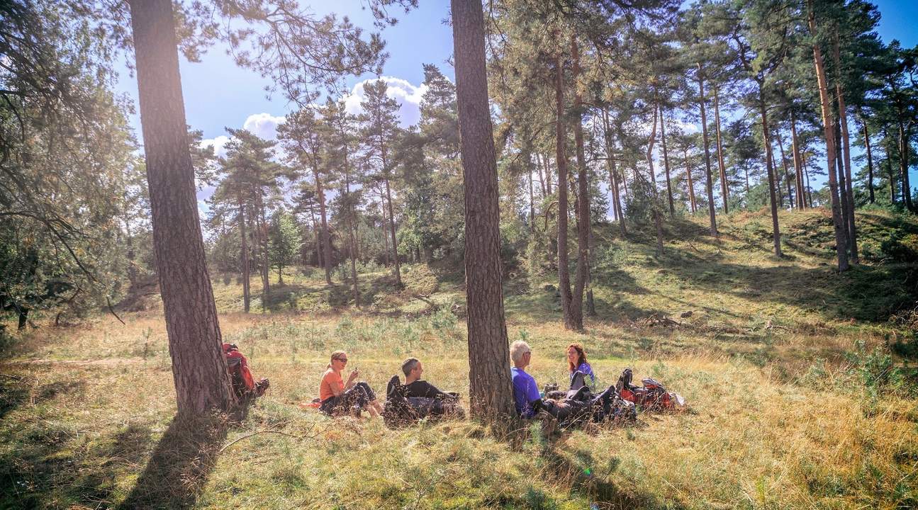 Kröller-Müller Museum and Hoge Veluwe National Park Day Tour
