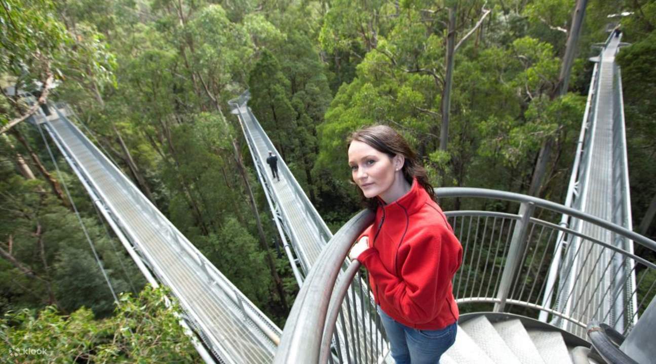 Biglietti Otway Fly Treetops Walk