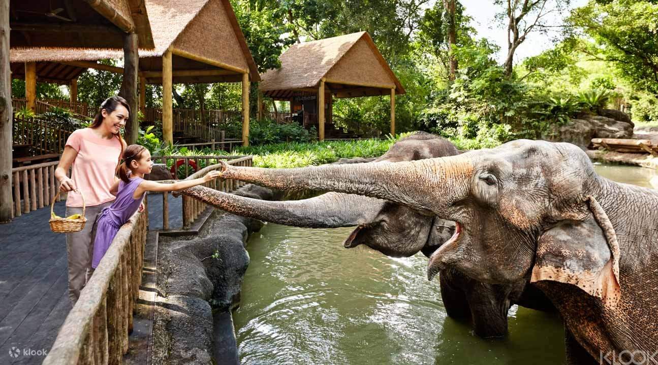 Singapore Zoo Breakfast Bookings
