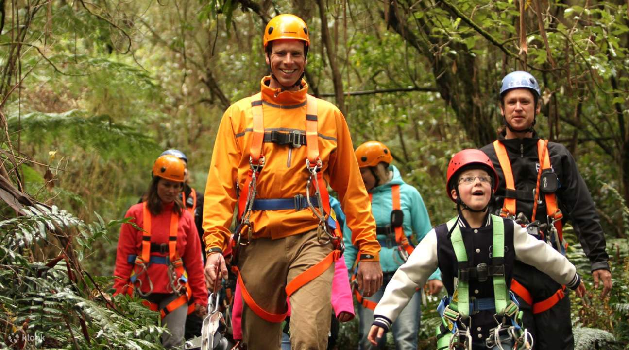 tour du lịch đu dây illawarra