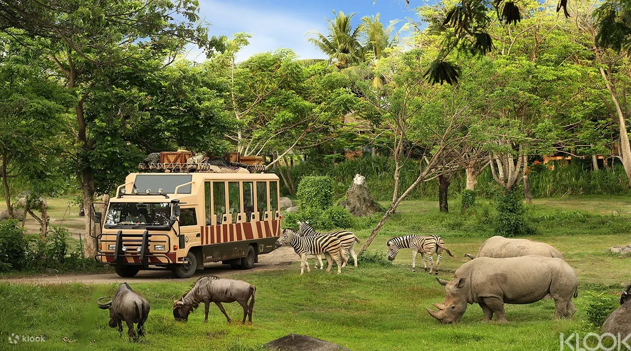 Bali Safari Park 'Rhino' with Transfers - Klook