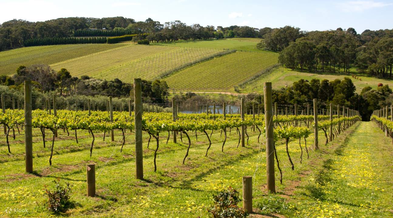 Mornington Peninsula Day Tour Klook Singapore