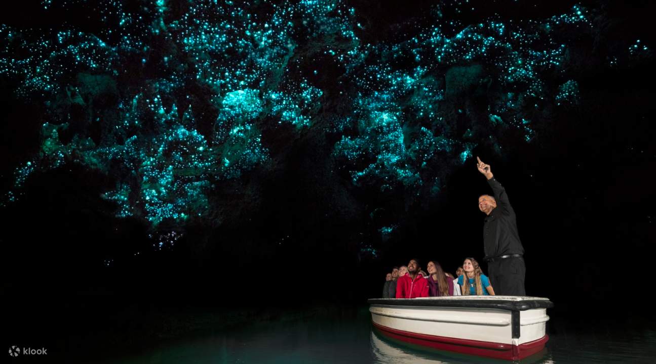 Boat Ride in Waitomo Glowworm Caves 