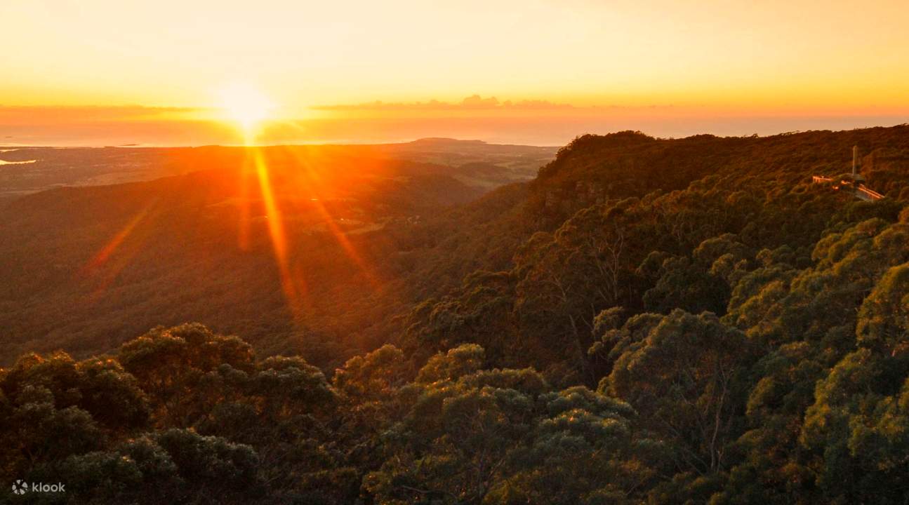 hoàng hôn illawarra bay ngọn cây đi bộ