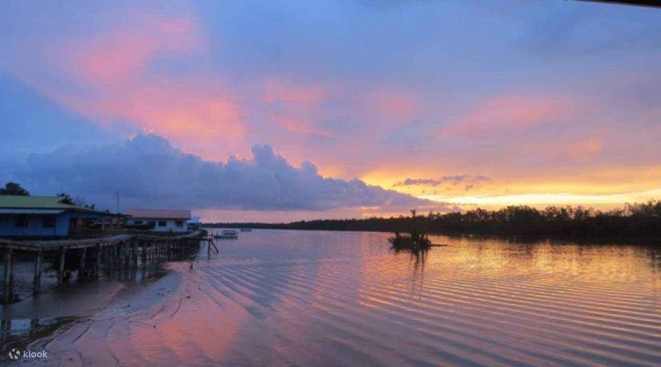 Crucero por los humedales de Weston para ver monos, atardeceres y luciérnagas