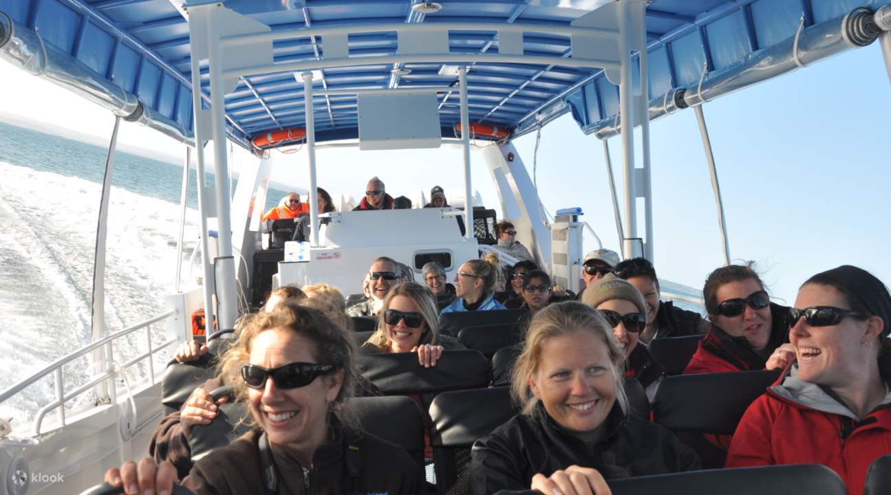 eco boat adventure tour phillip island