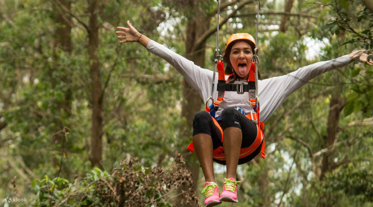 illawarra bay zipline nhân viên chuyên nghiệp