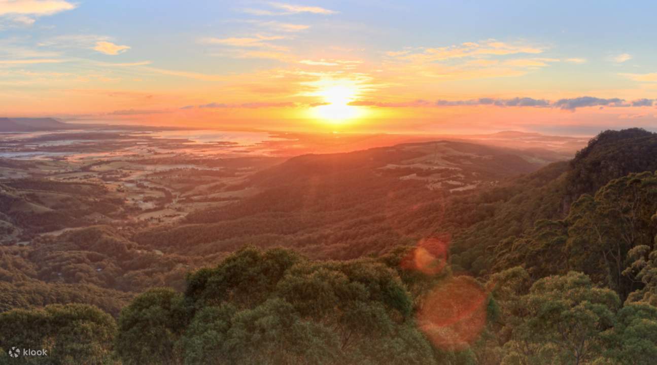 đánh giá đi bộ trên ngọn cây bay illawarra