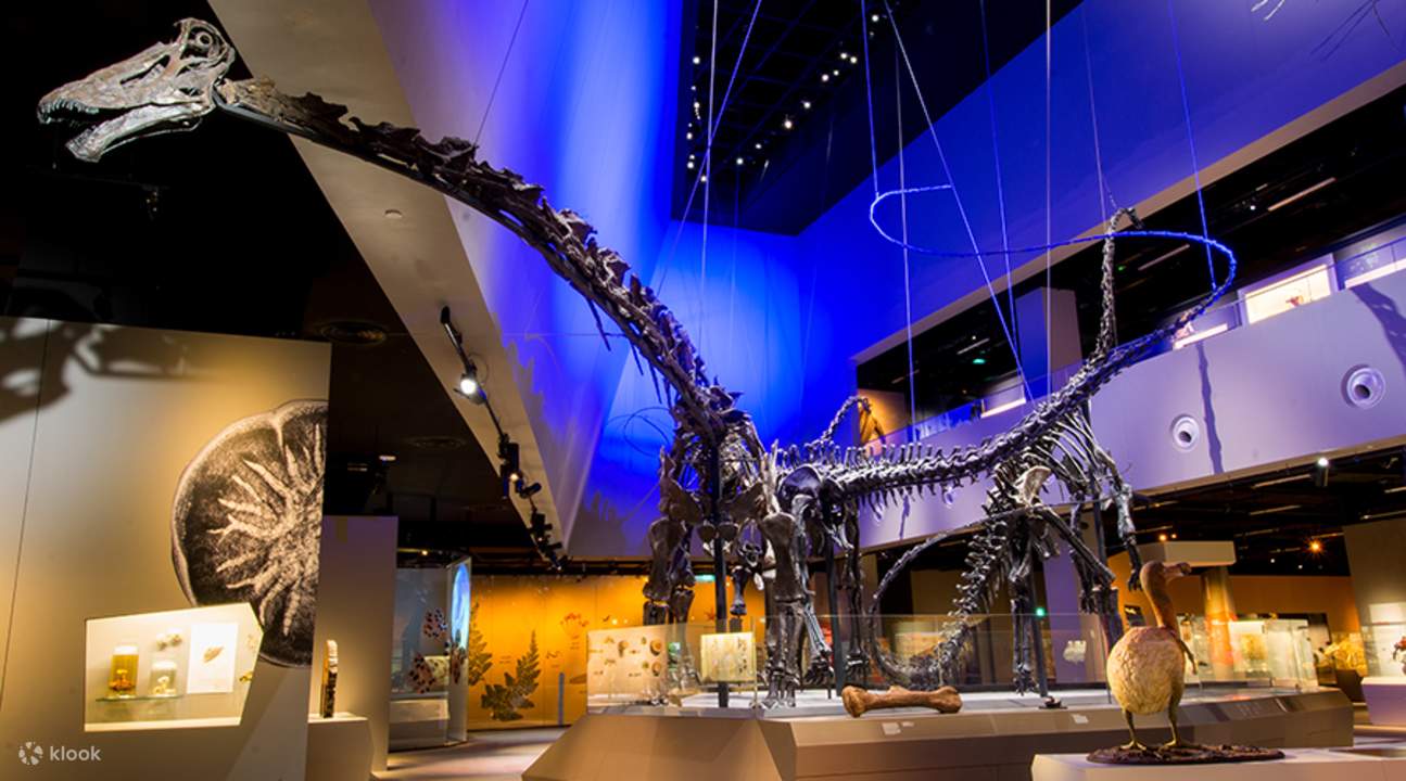 在新加坡的博物馆巡礼