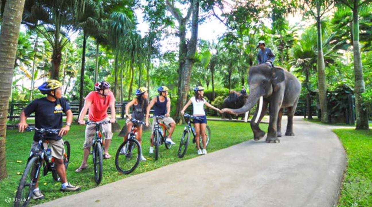 elephant rock bike ride 2020
