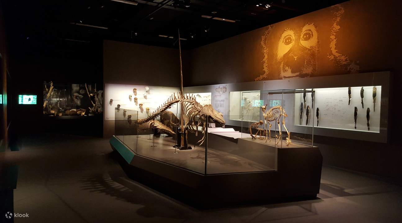 李光前自然历史博物馆