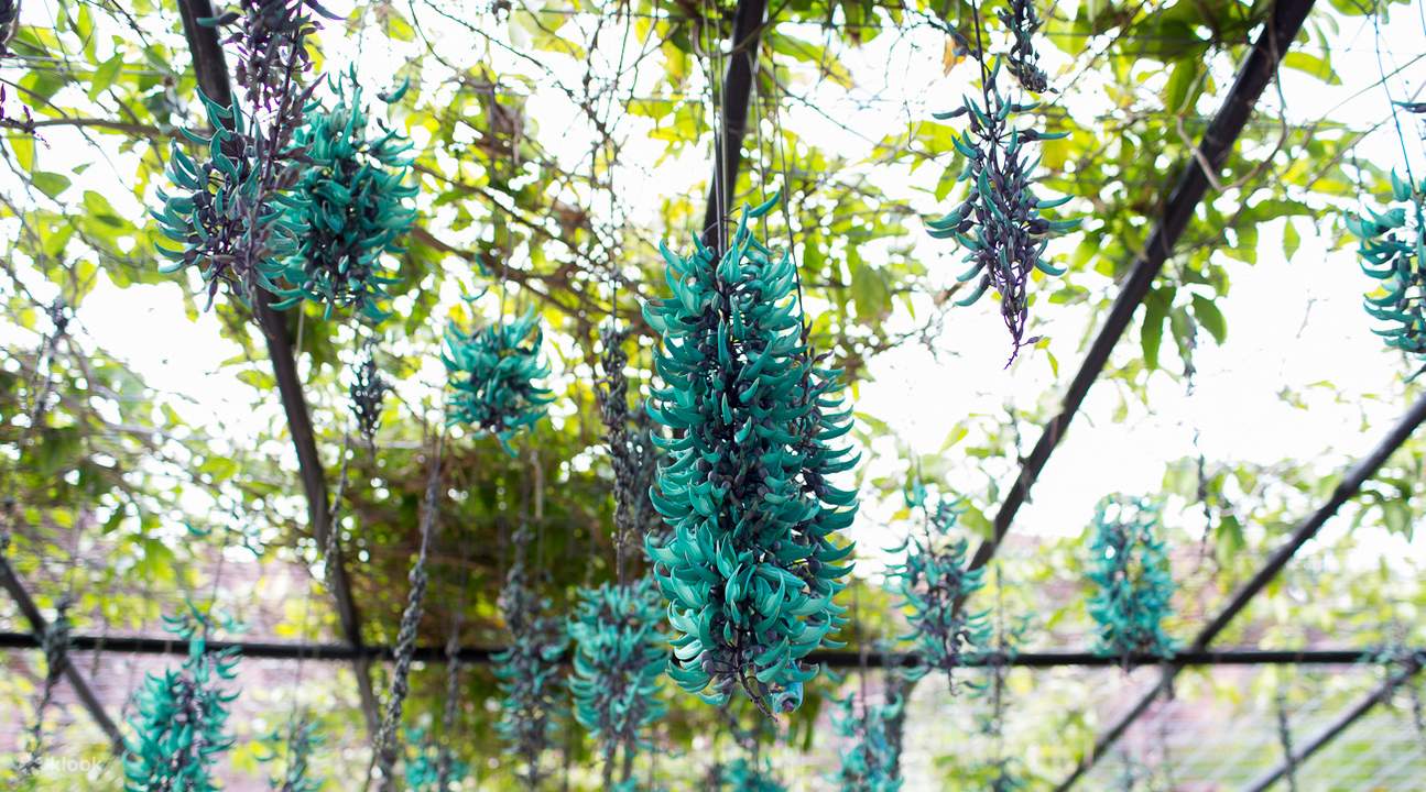名護自然動植物公園門票
