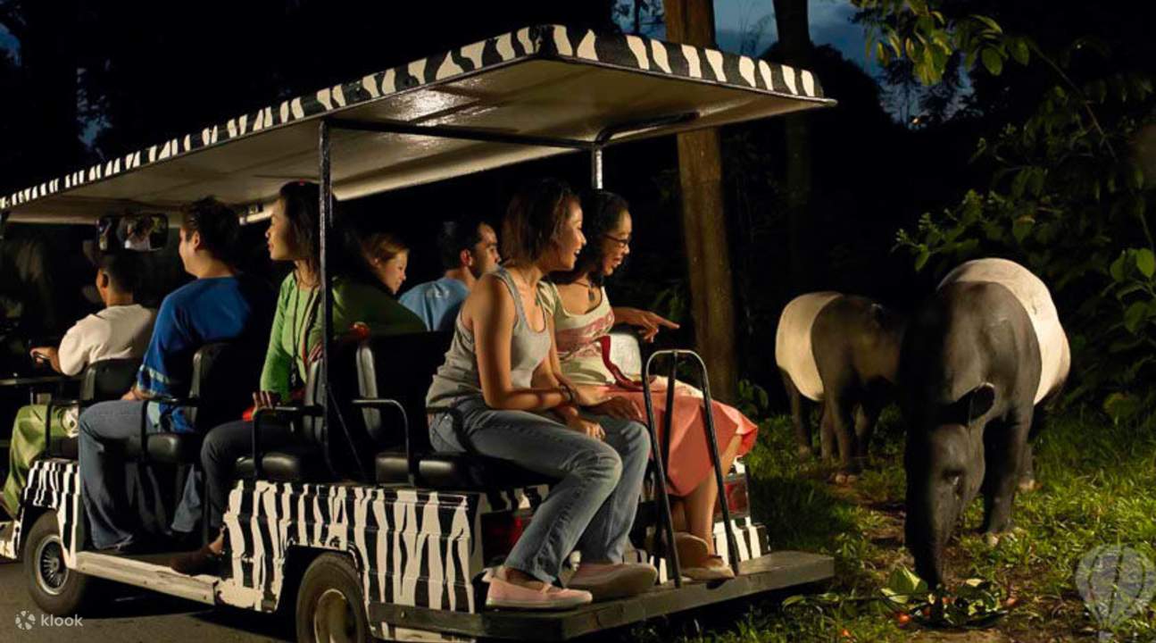 night safari tram ride timings