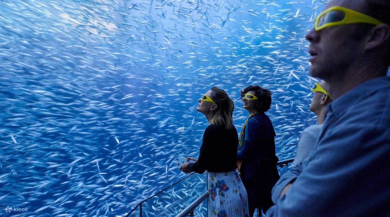 admission to ocean odyssey new york