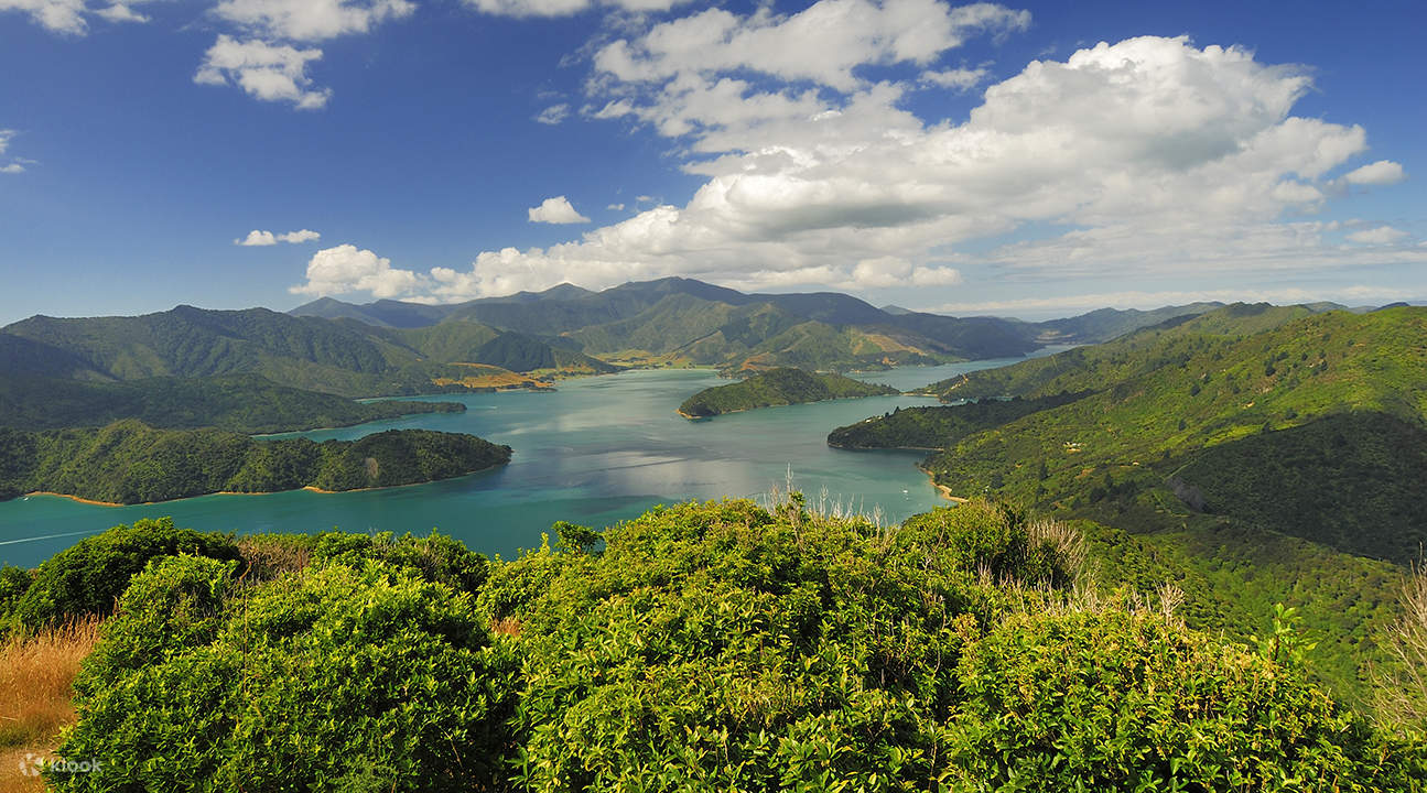 Du thuyền ngắm vẹm xanh Marlborough