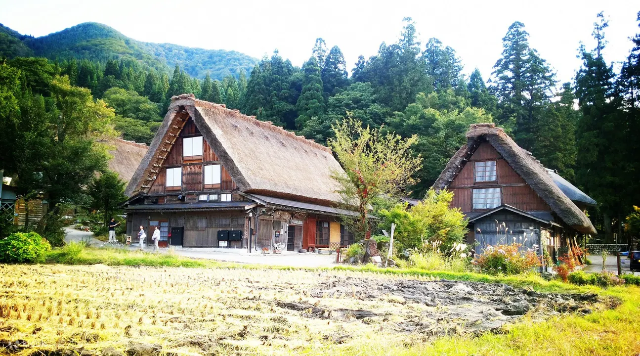 白川乡和五个山的历史村落