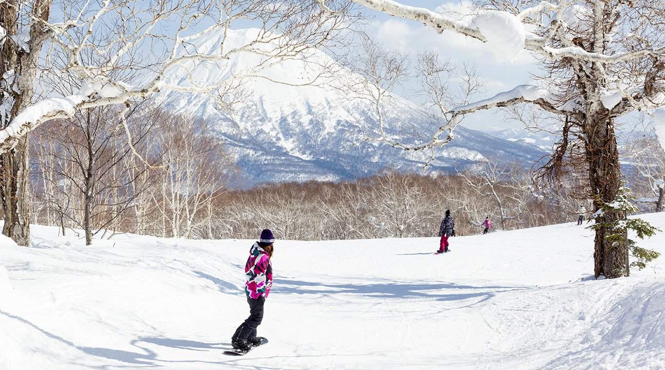北海道私人滑雪课程 Klook客路