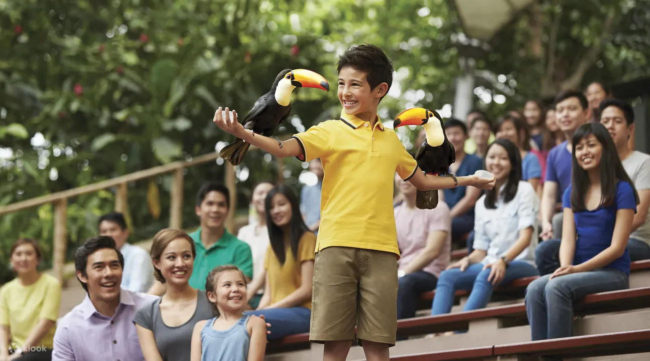 Jurong Bird Park Ticket In Singapore Klook
