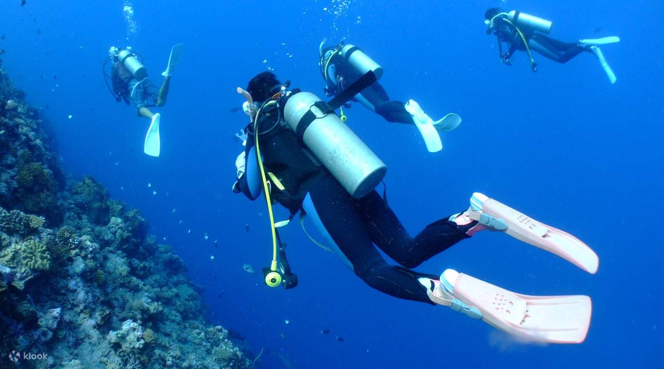 menyelam di sekitar Kepulauan Kerama
