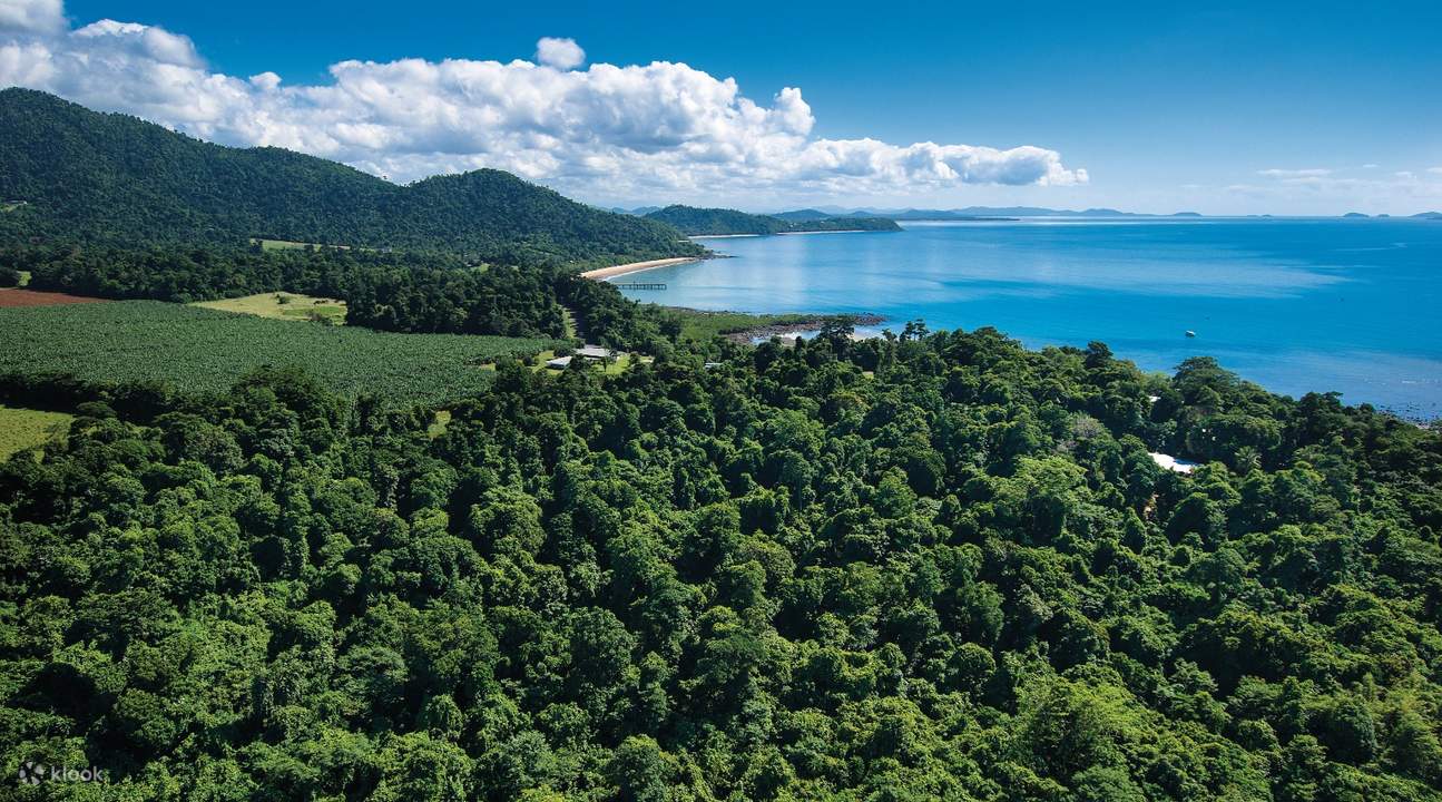 Cây xanh tươi tốt ở Mission Beach