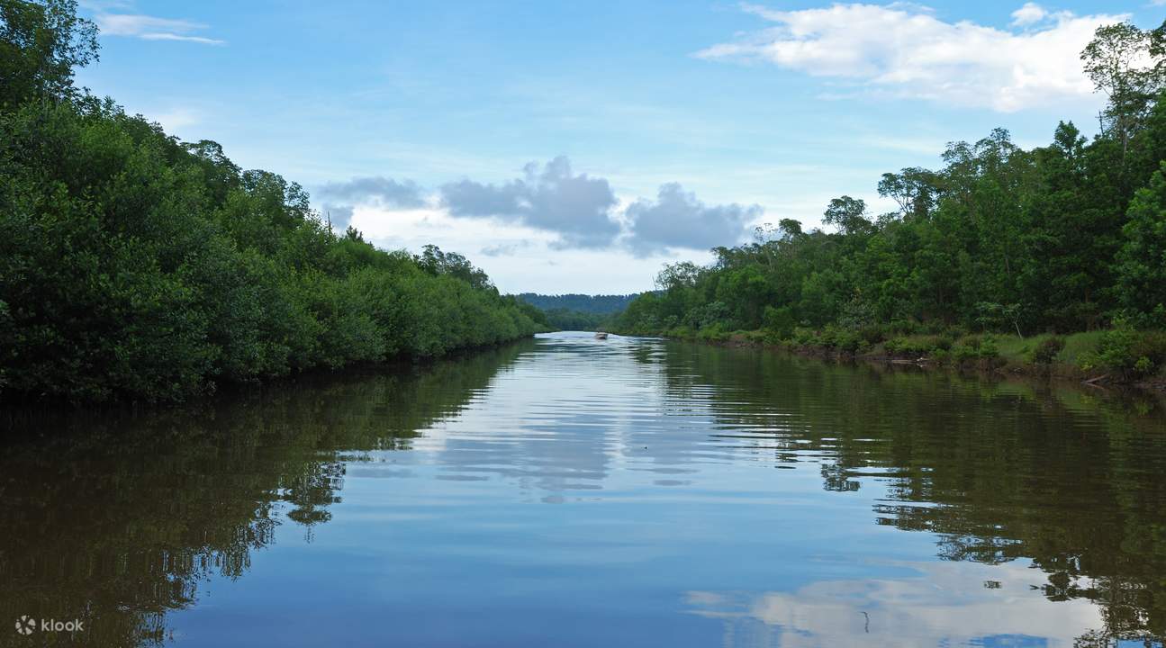 Сабах туры по реке Кава-Кава