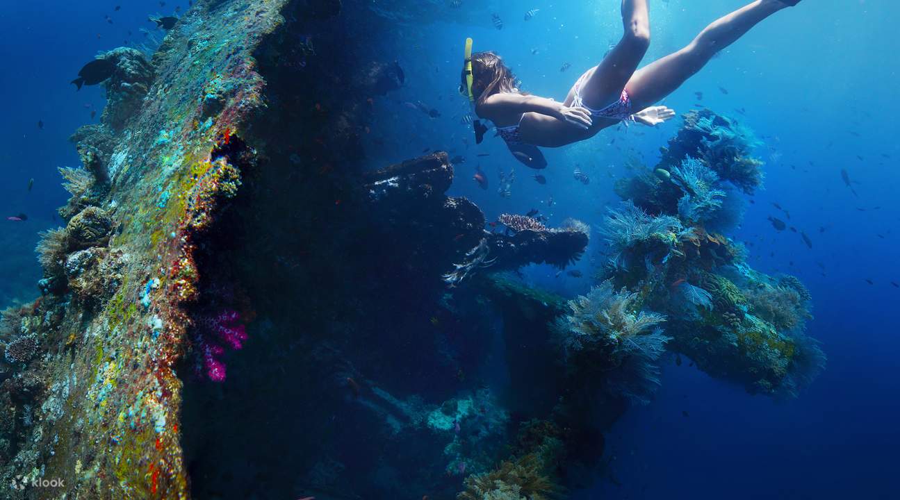 ดำน้ำที่ซากเรืออับปาง Liberty ในบาหลี