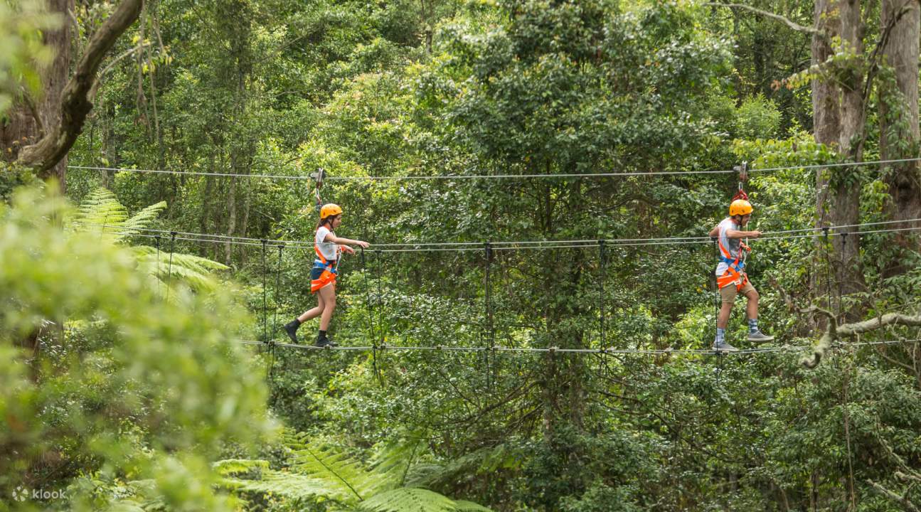 dây kéo bay illawarra