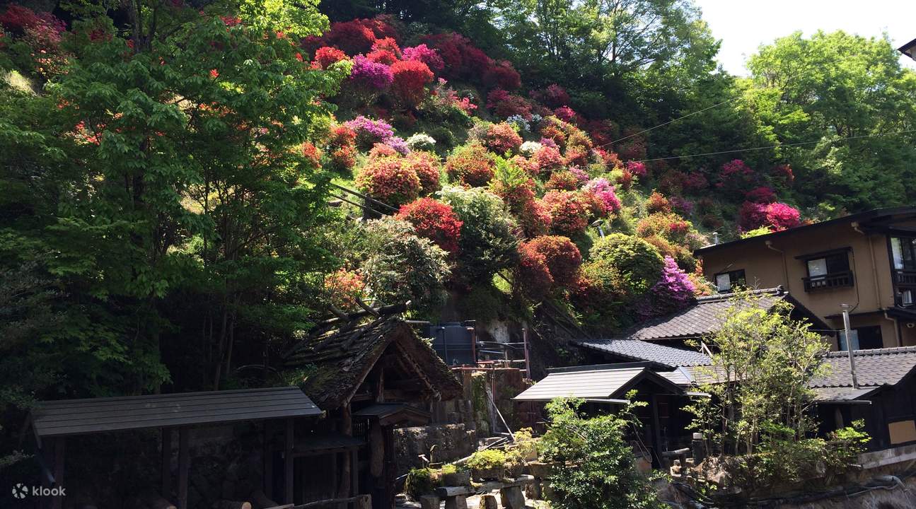 outdoor hot spring Kurokawa
