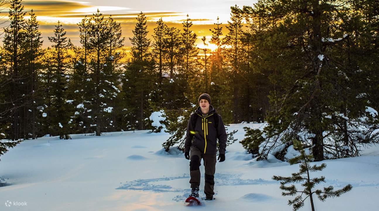 Wilderness Snowshoe Adventure in Rovaniemi Klook