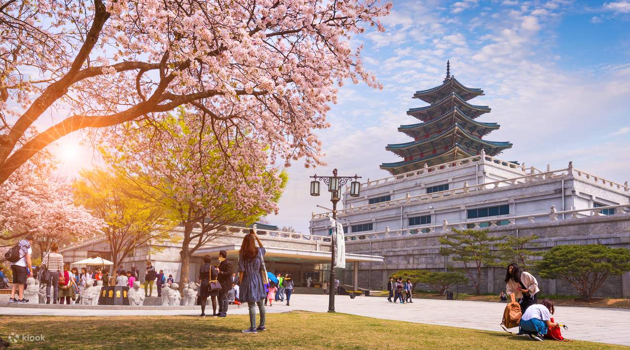Incheon International Airport Minibus Transfers (ICN Pickup) for Seoul ...
