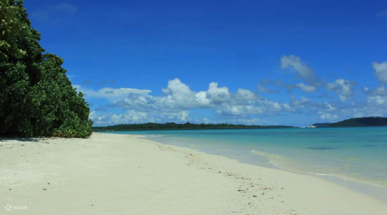 une vue sur une plage de l'île Havelock ; il y a du feuillage à gauche ; il y a des empreintes de pas sur le sable