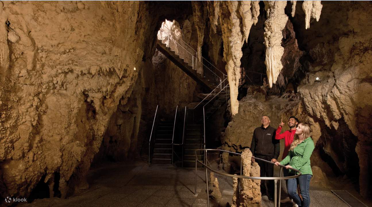 Waitomo Glowworm Caves stalactites