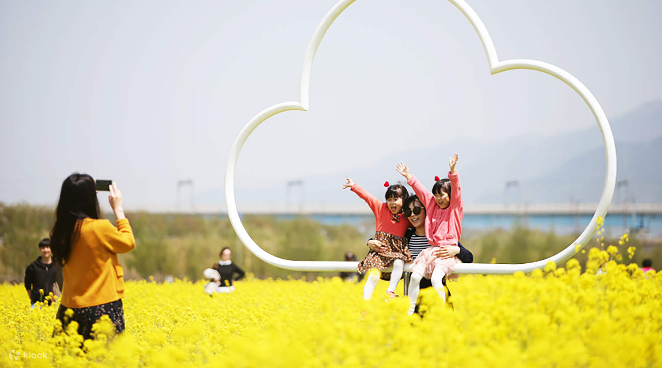 Busan Canola Flower Festival Trip - Klook Philippines