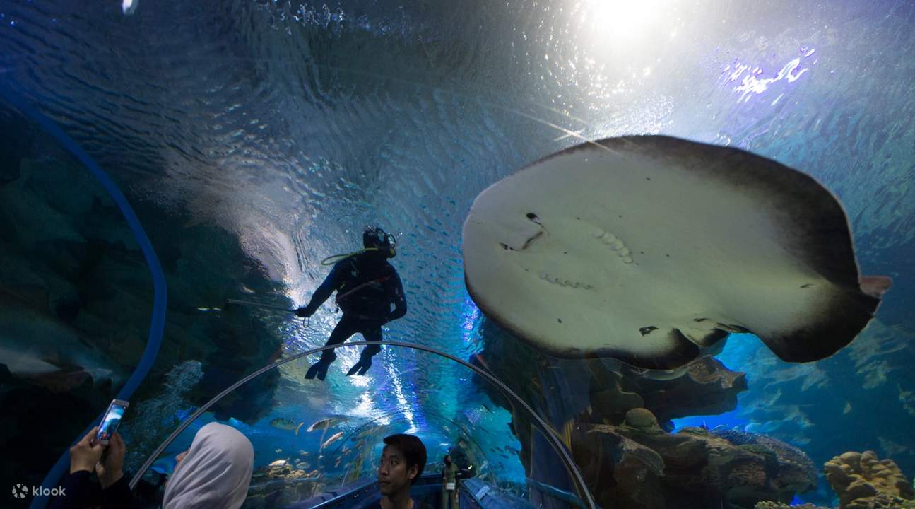 Aquaria KLCC and KL Travel Pass Combo Package in Kuala Lumpur Klook