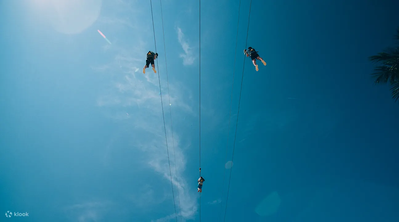 MegaZip adventure park