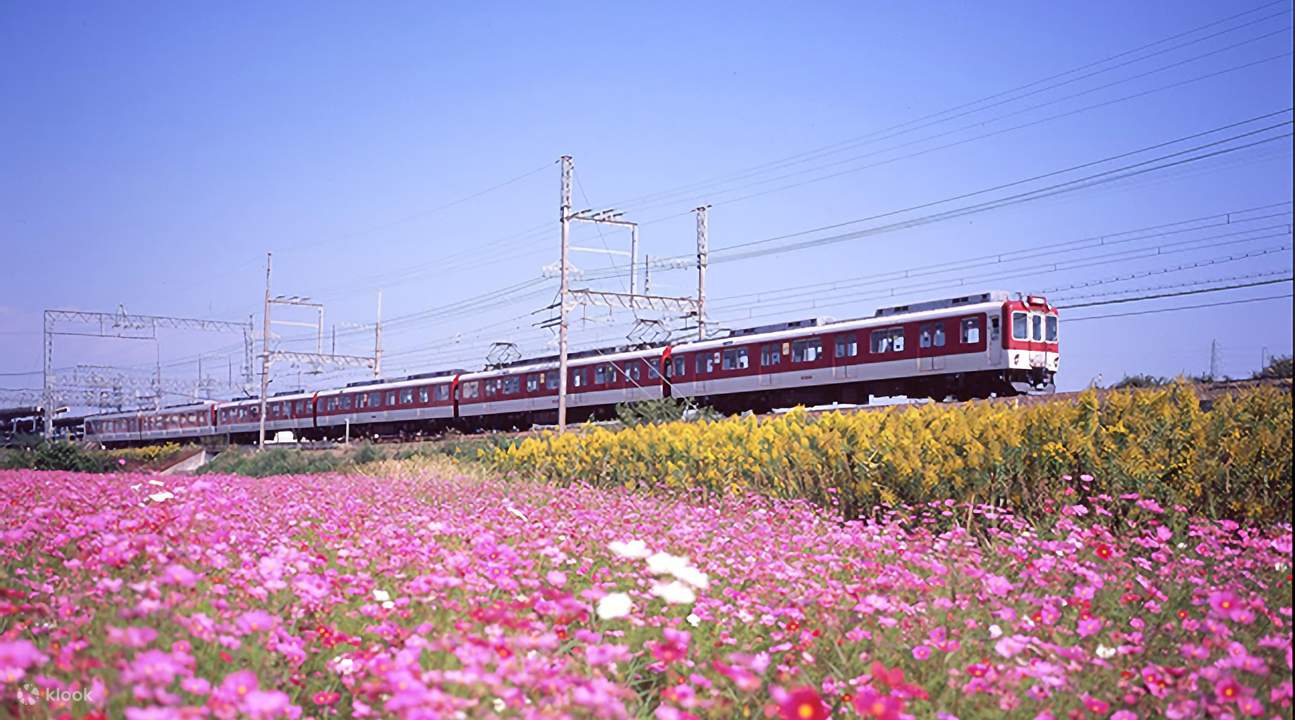 日本關西近鐵電車周遊券