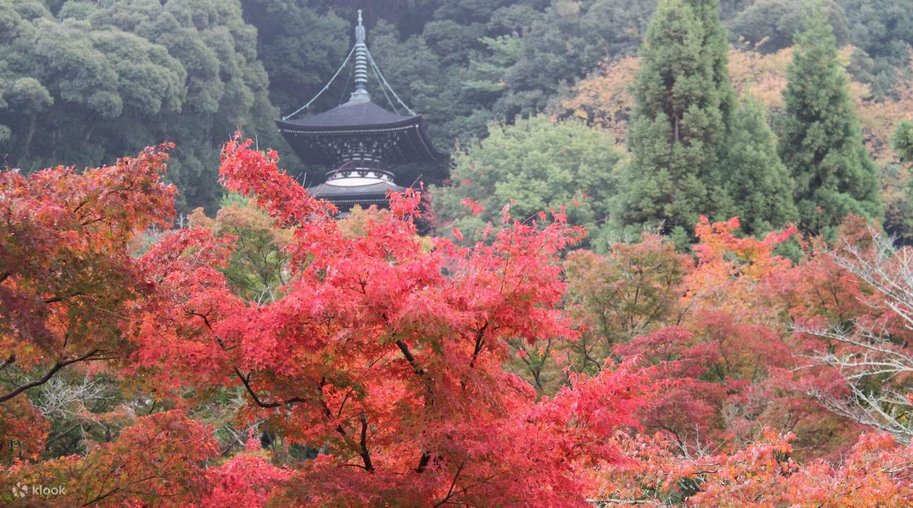 Higashiyama Autumn Leaf Walking Tour- photo credits to Eikando Zenrin-ji Temple