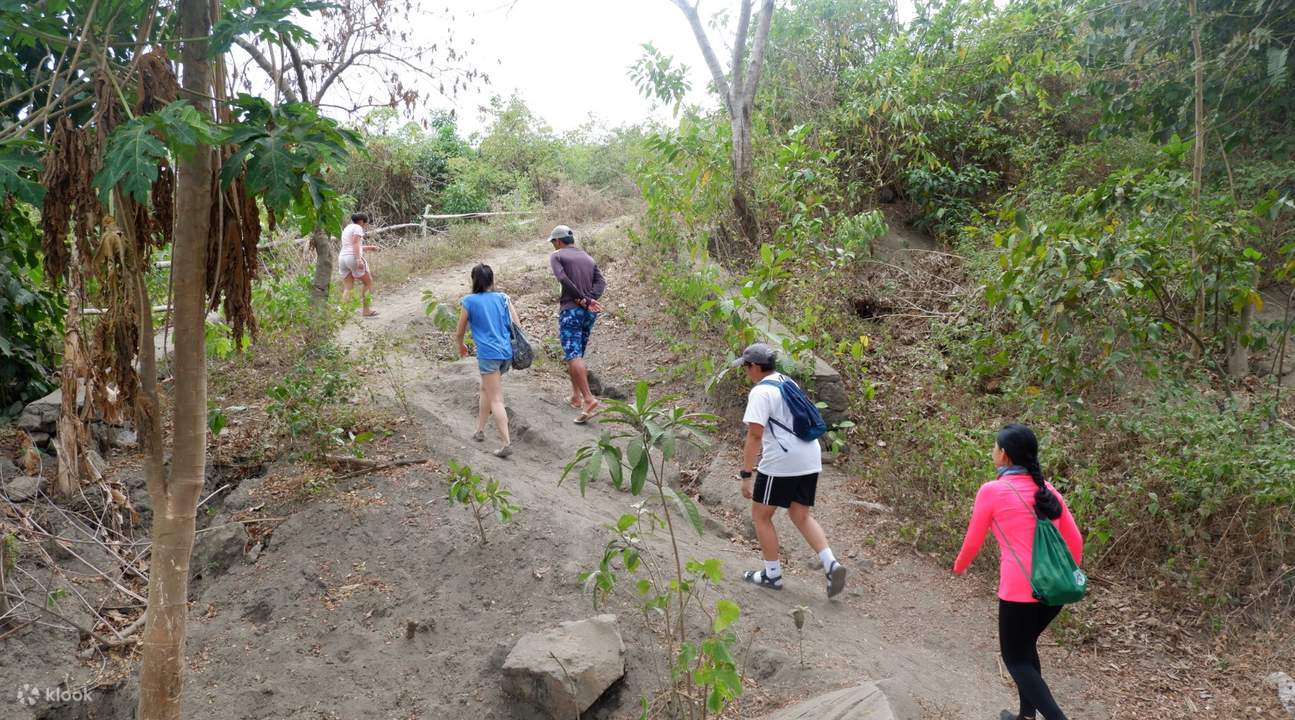 Taal Volcano Day Tour from Manila Philippines Klook Philippines