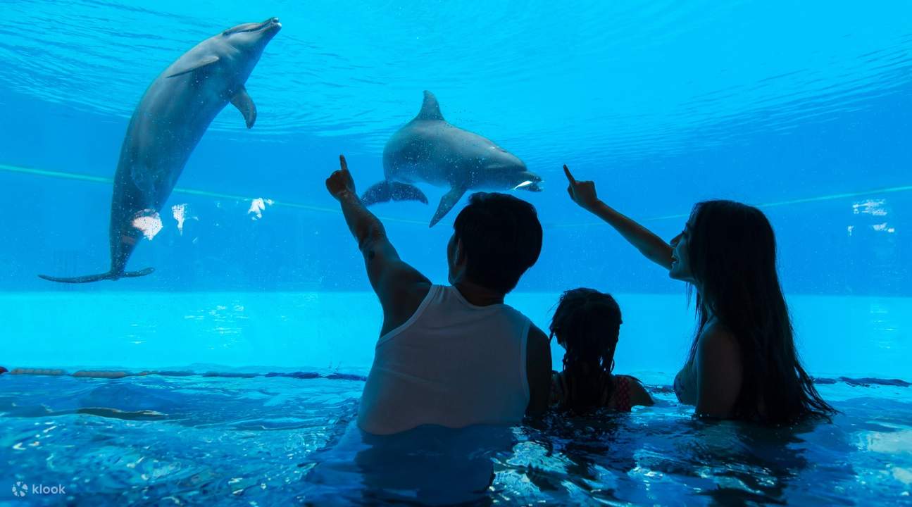 Zhuhai Chimelong Coral Restaurant Buffet