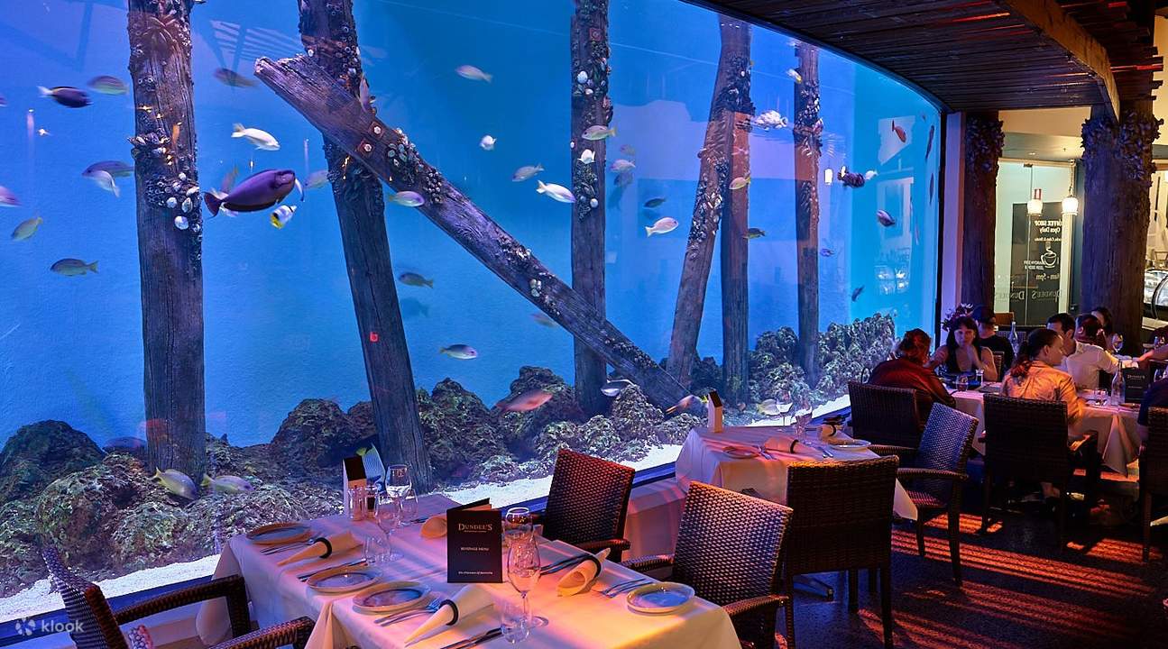케언즈 아쿠아리움 - 케언즈 아쿠아리움 Dundee Restaurant