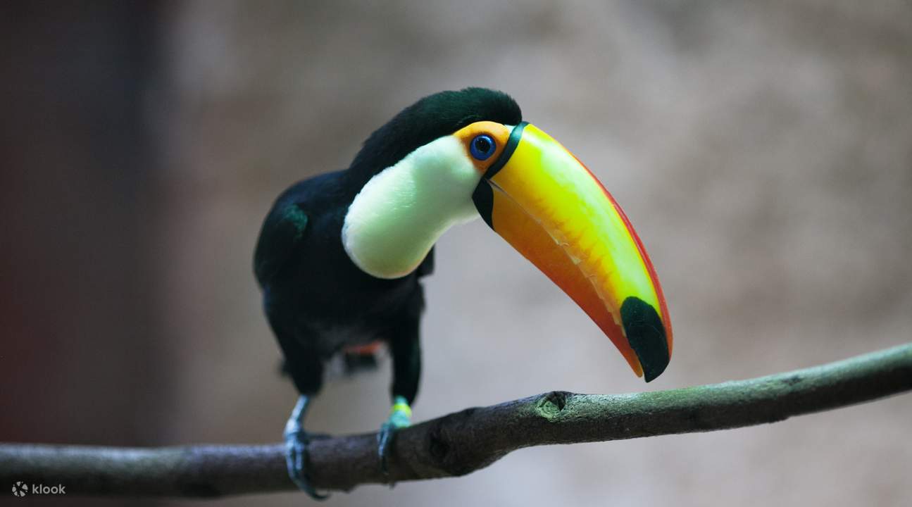 билет в зоопарк Барселоны