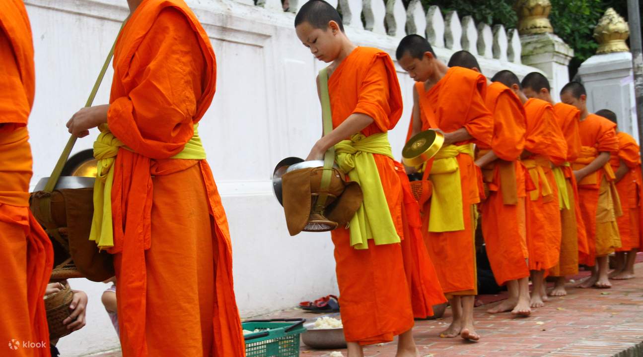 morning alms giving experience